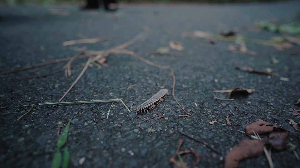 แม็กซ์ - ณัฐวุฒิ เจนมานะ