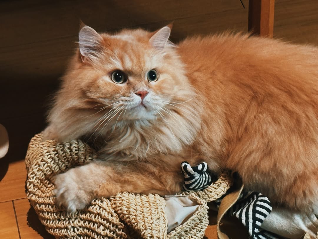 แม็กซ์ - ณัฐวุฒิ เจนมานะ