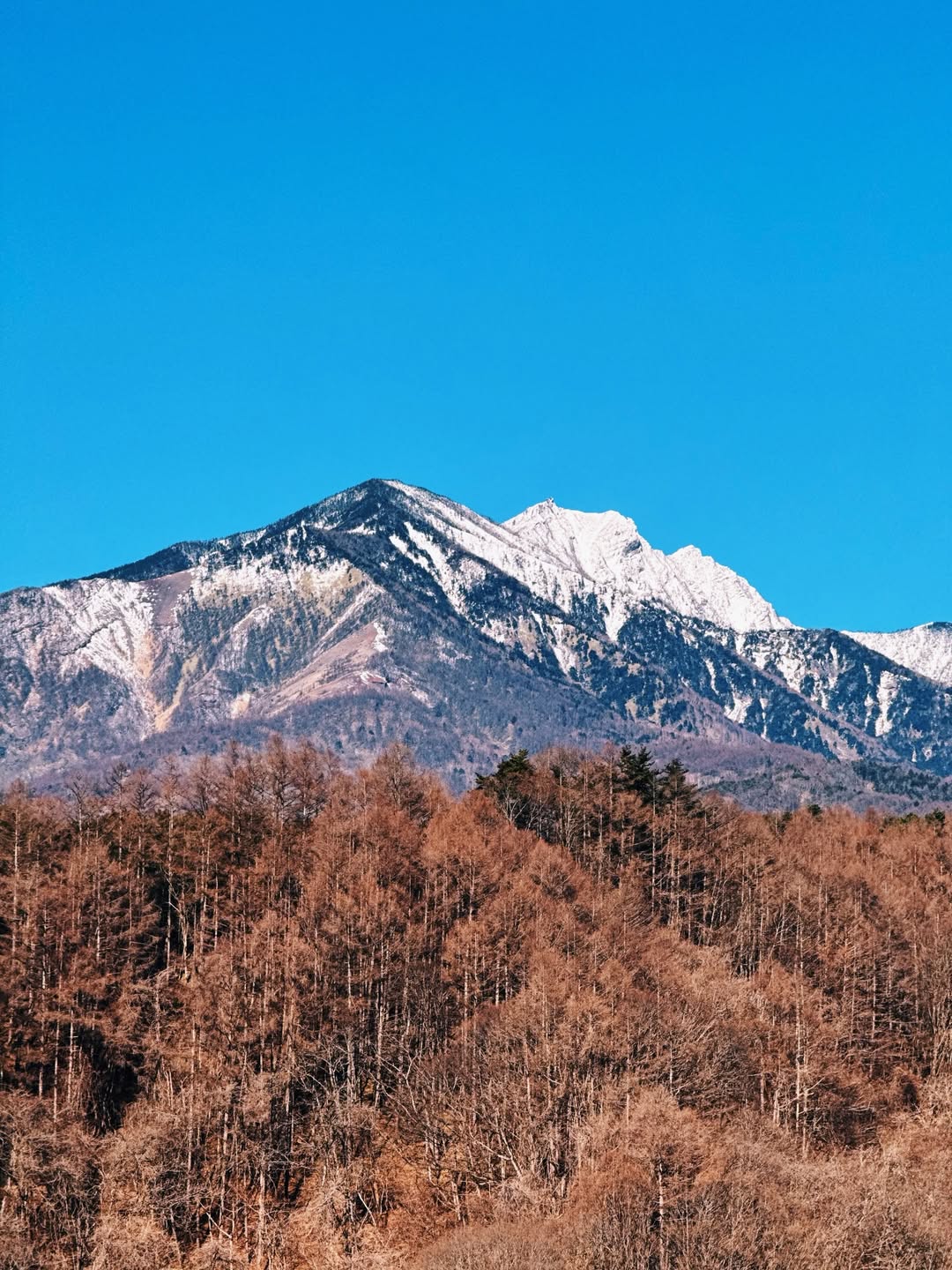 แม็กซ์ - ณัฐวุฒิ เจนมานะ