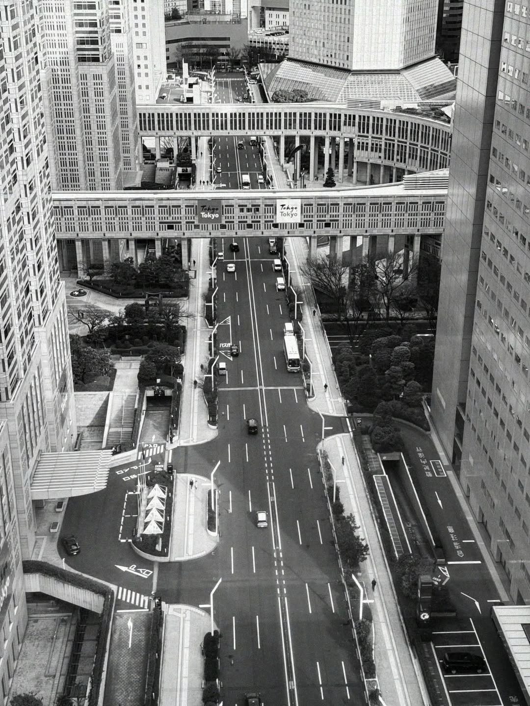 แม็กซ์ - ณัฐวุฒิ เจนมานะ