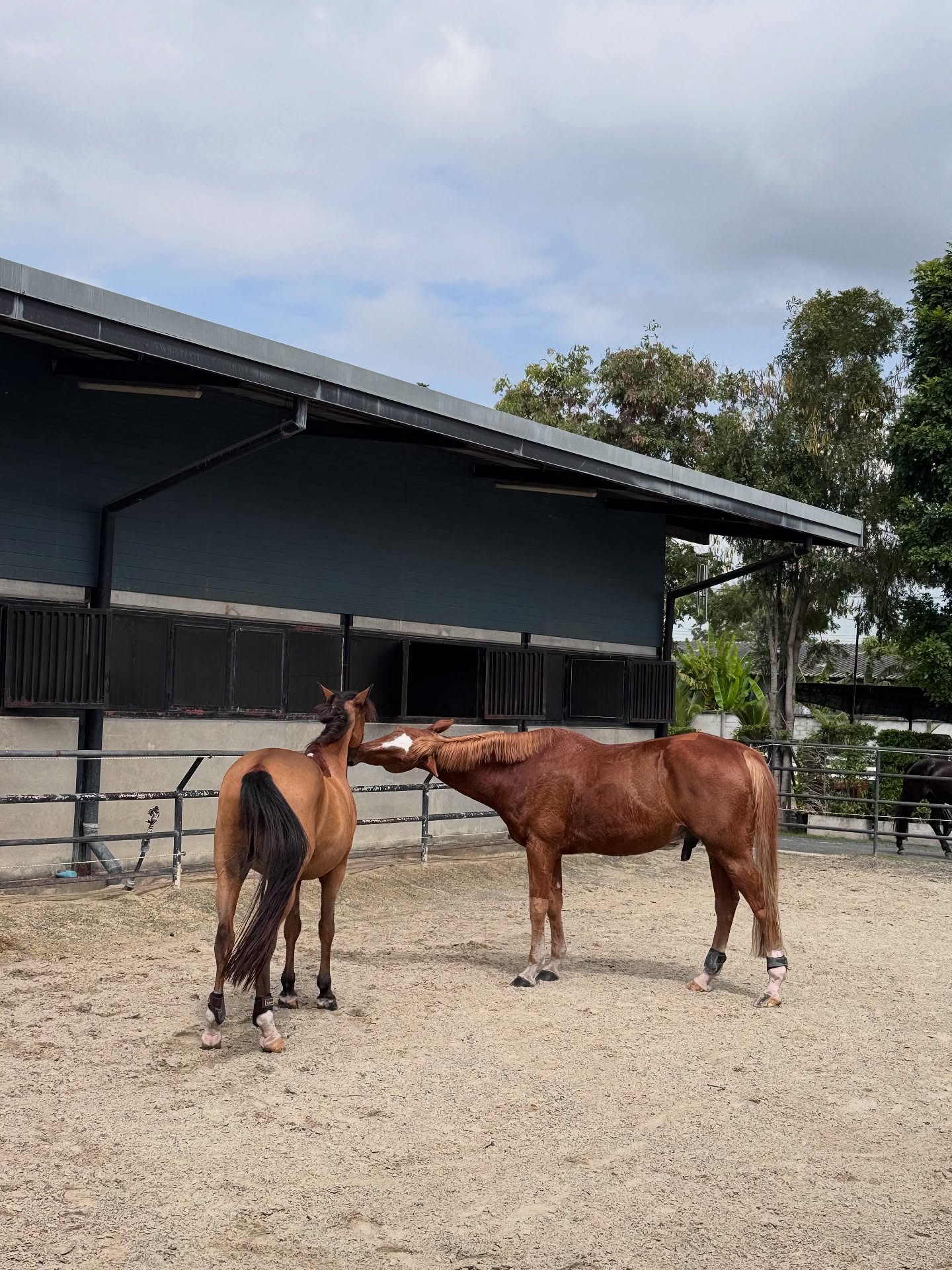 แบรี่ - ณเดชน์ คูกิมิยะ