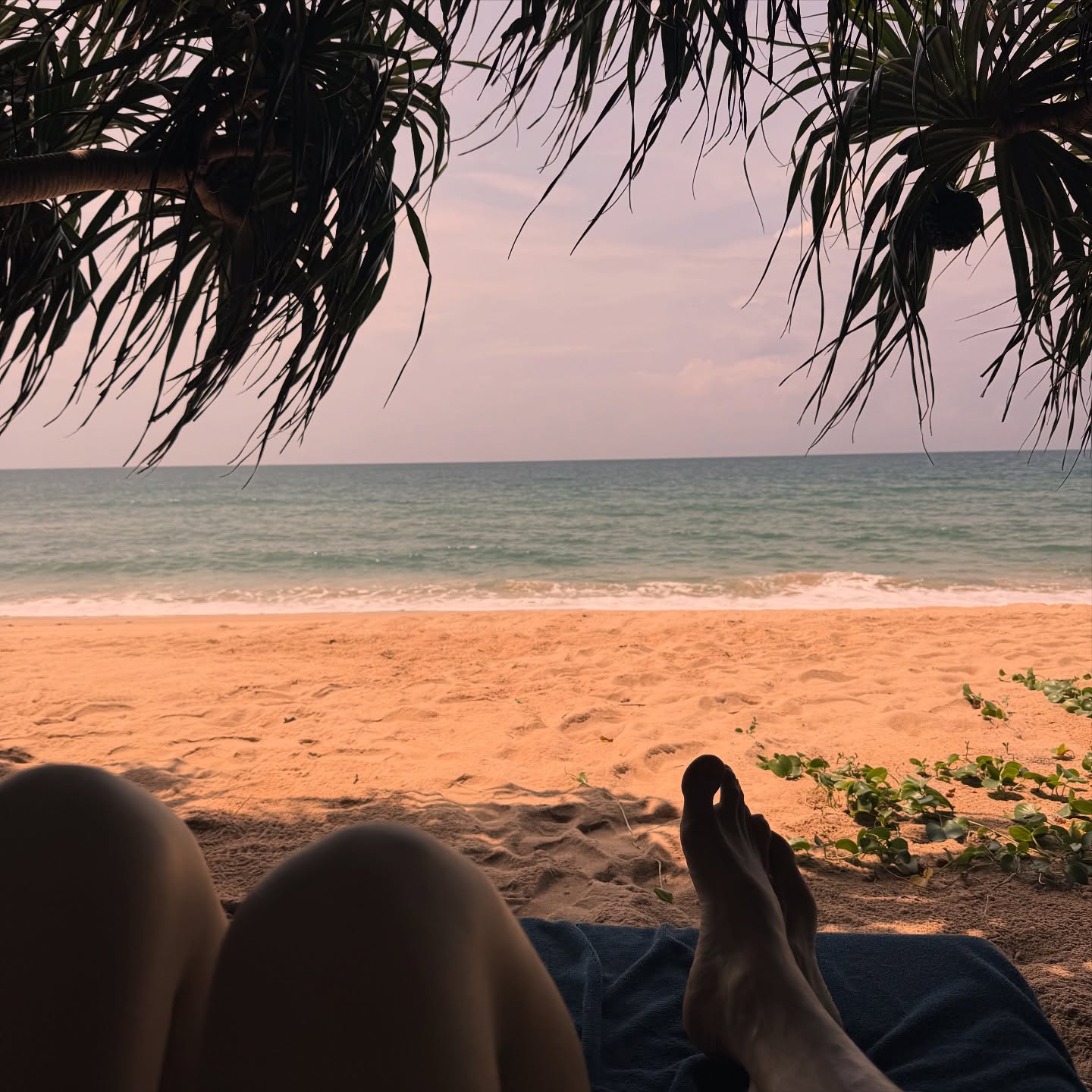 แบรี่ - ณเดชน์ คูกิมิยะ