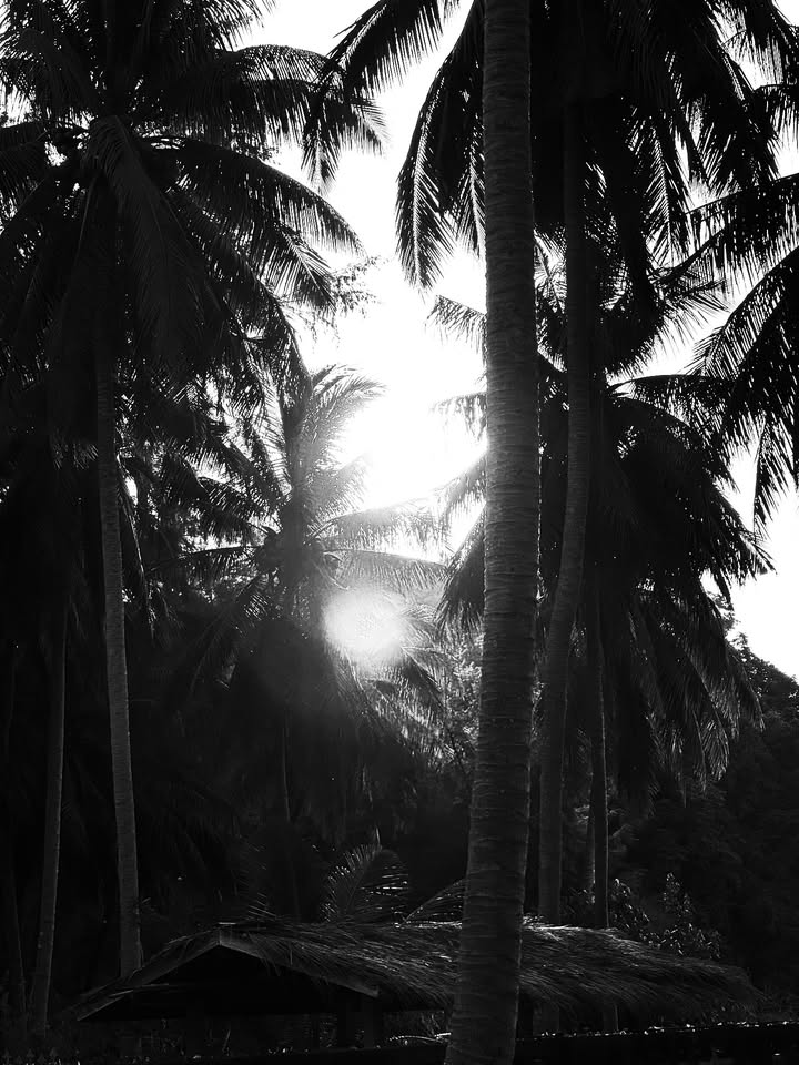 แบรี่ - ณเดชน์ คูกิมิยะ