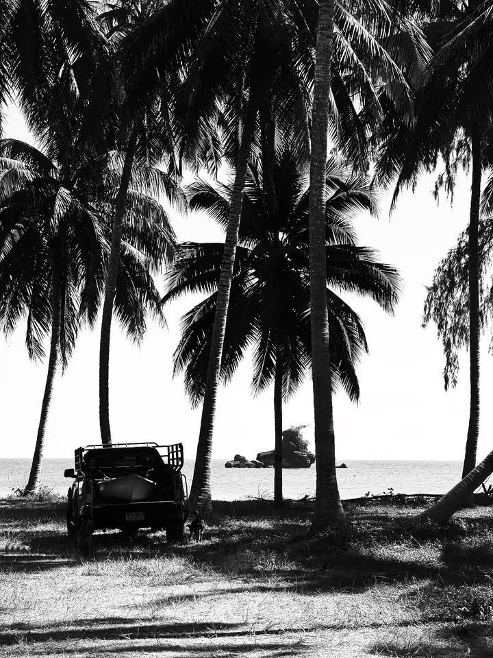 แบรี่ - ณเดชน์ คูกิมิยะ