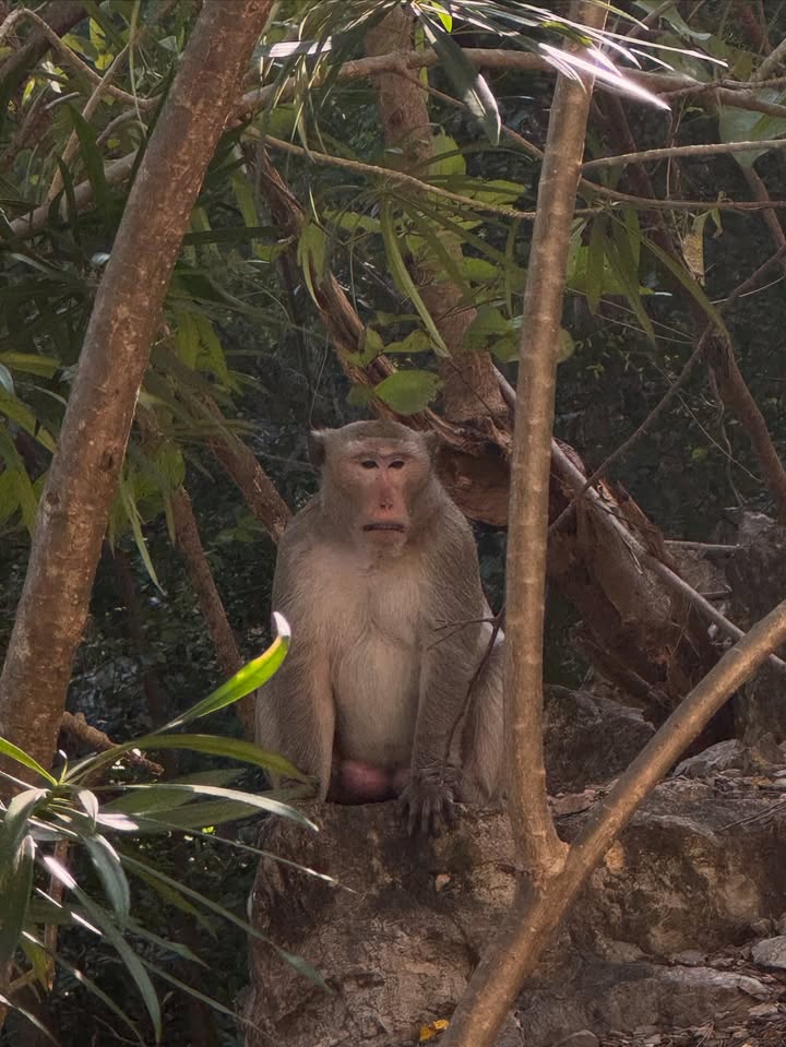 แบรี่ - ณเดชน์ คูกิมิยะ