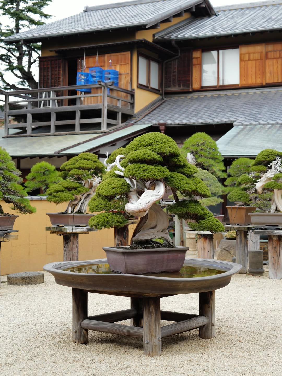 แบรี่ - ณเดชน์ คูกิมิยะ