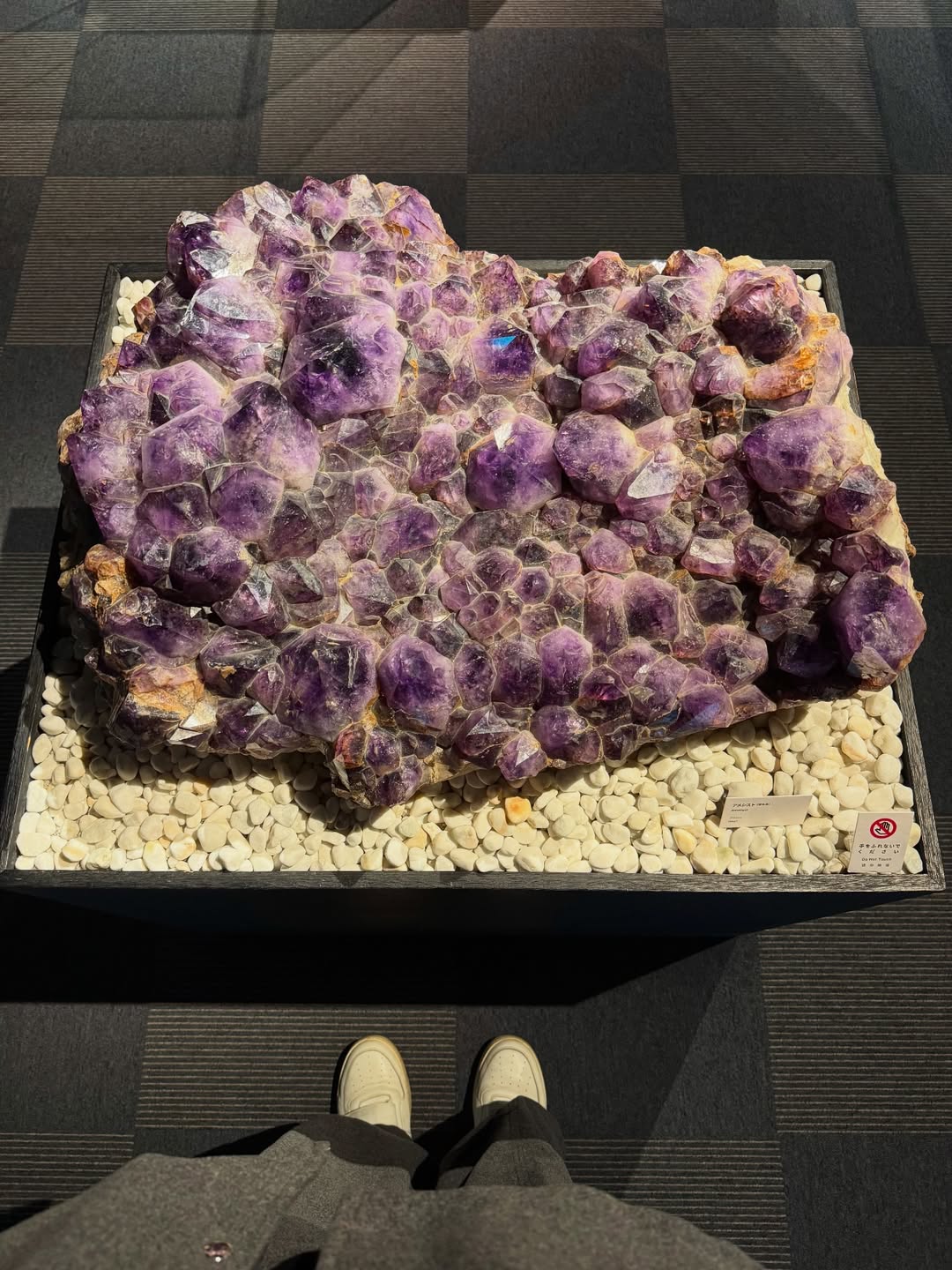 แบรี่ - ณเดชน์ คูกิมิยะ