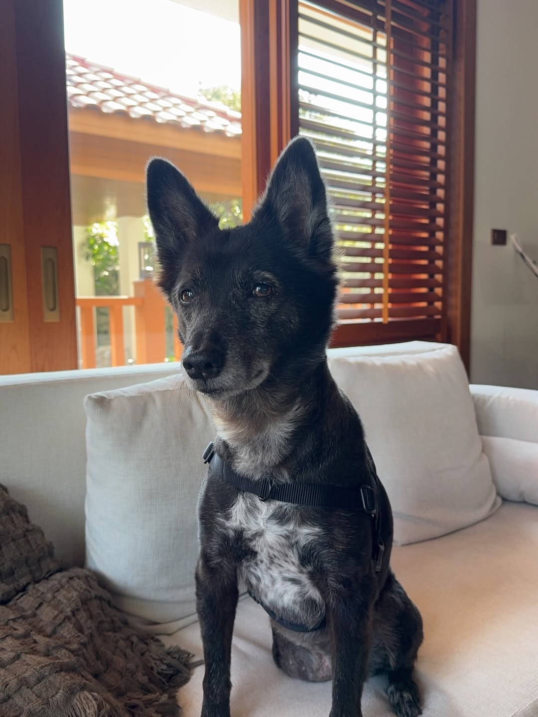 แบรี่ - ณเดชน์ คูกิมิยะ