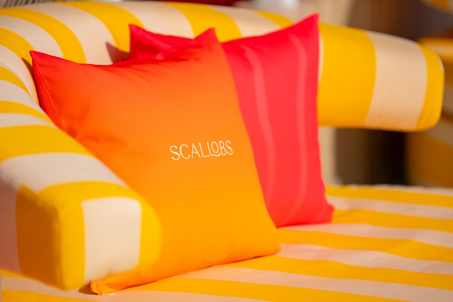 แบรี่ - ณเดชน์ คูกิมิยะ