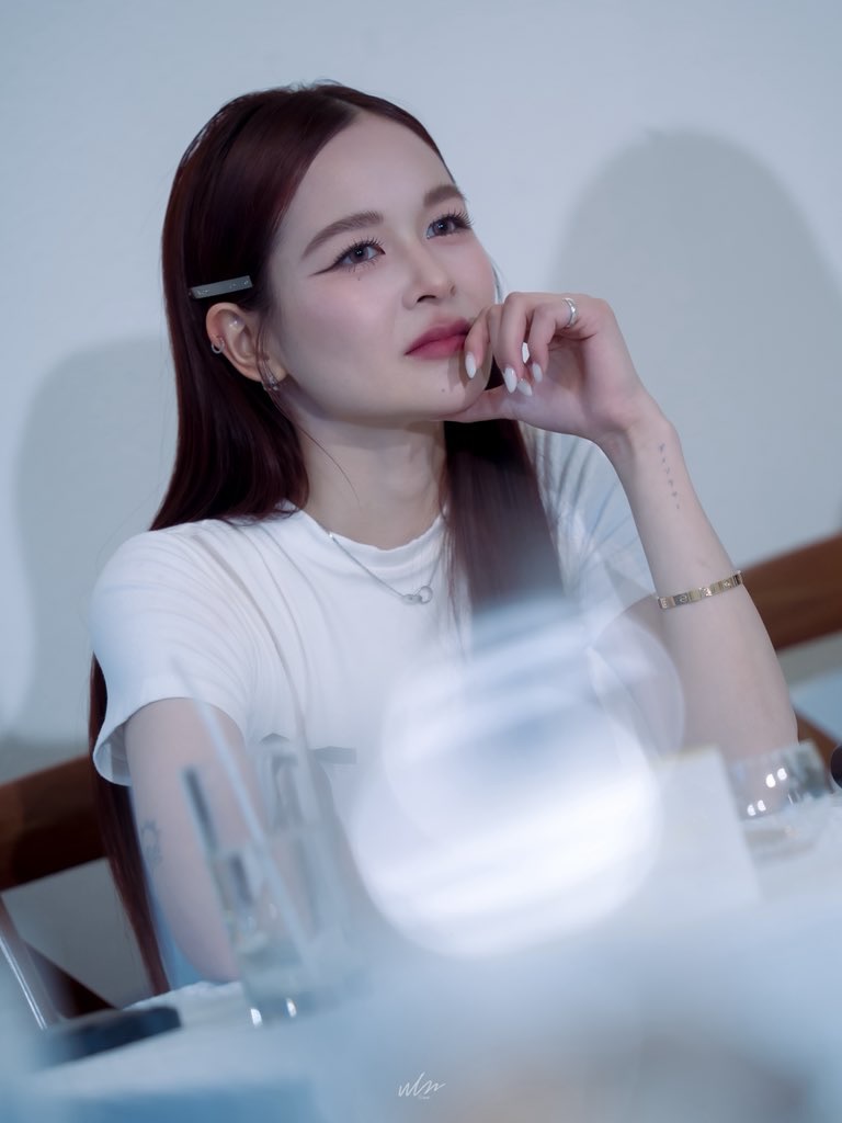 เหนือ - ดิสรยา เตชะไพบูลย์