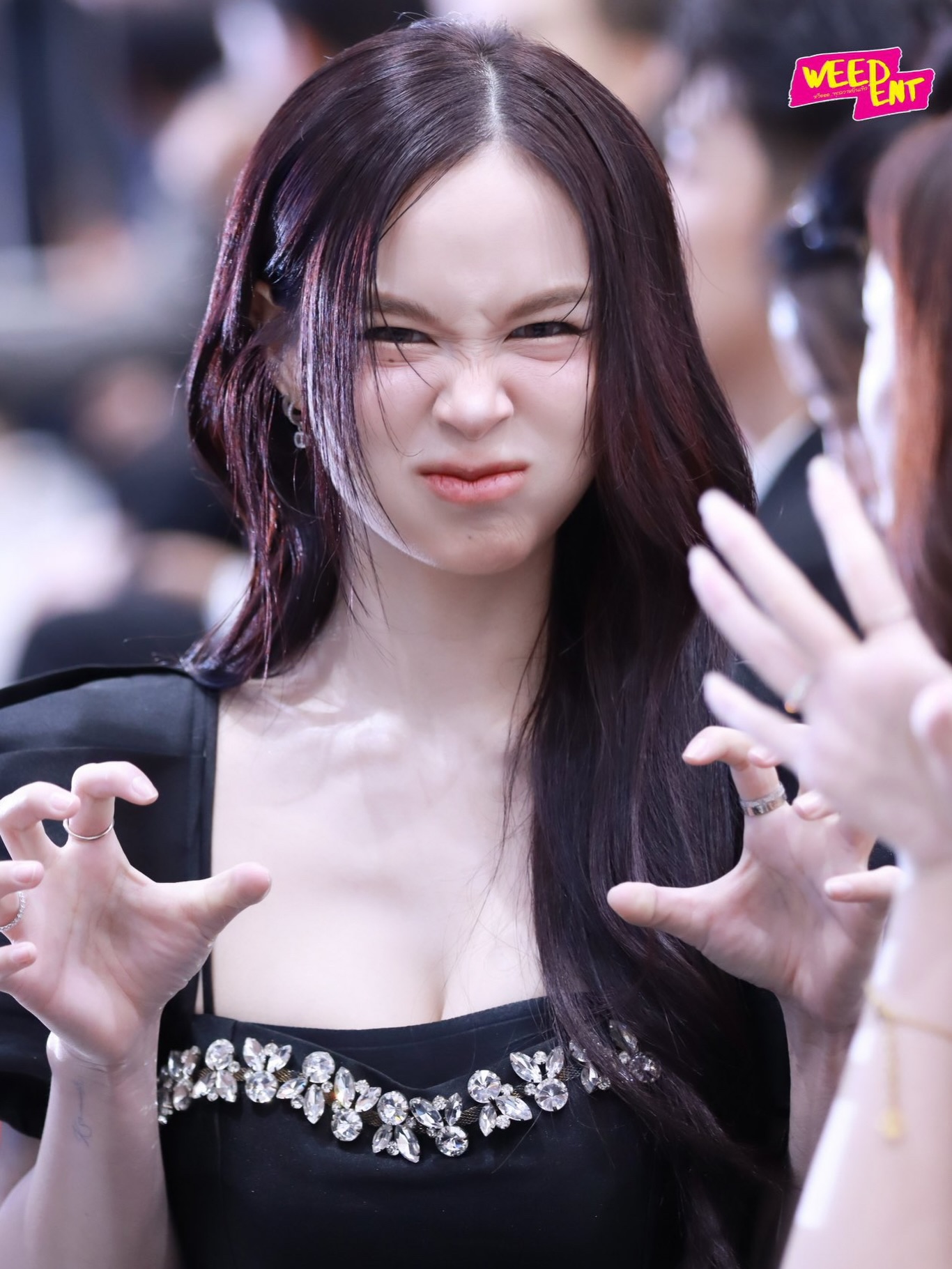 เหนือ - ดิสรยา เตชะไพบูลย์