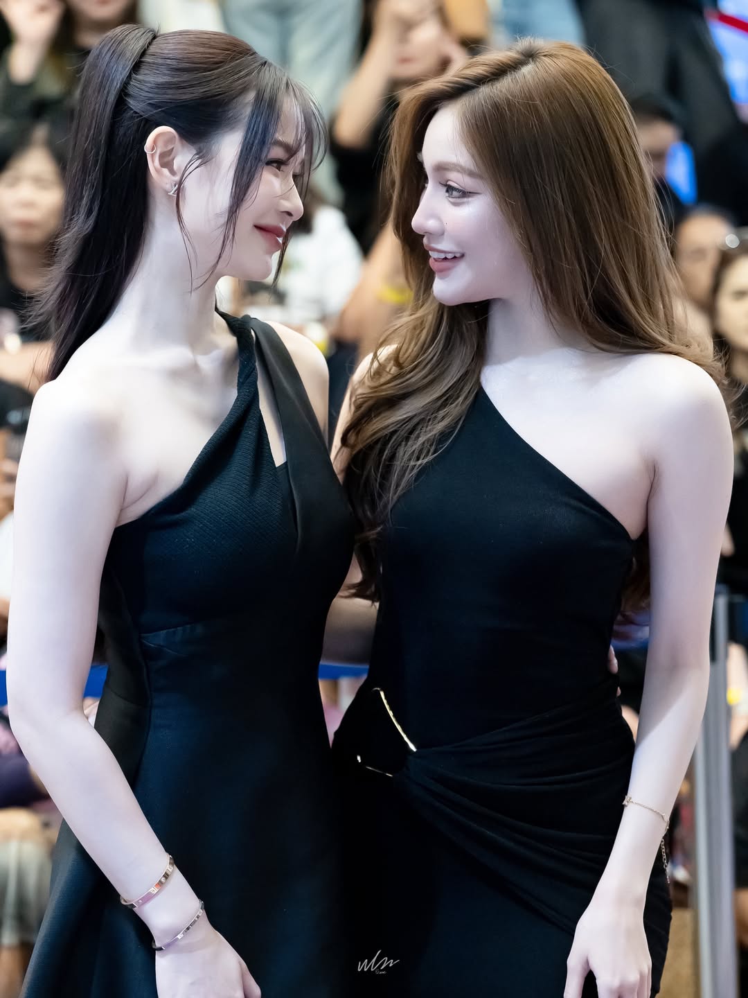 เหนือ - ดิสรยา เตชะไพบูลย์