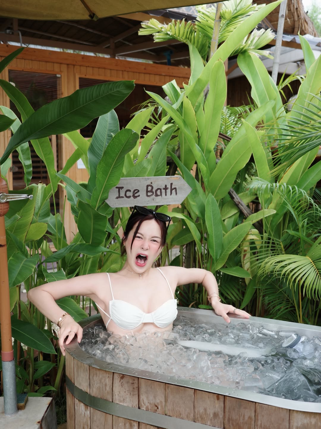 เหนือ - ดิสรยา เตชะไพบูลย์