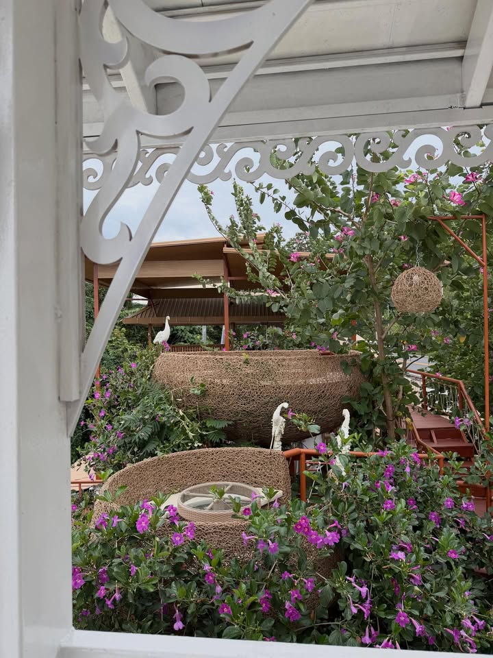 ขนมจีน - กุลมาศ ลิมปวุฒิวรานนท์