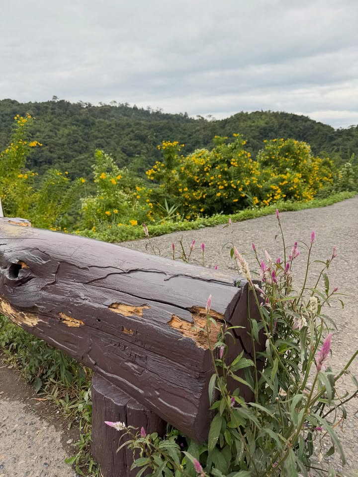 ขนมจีน - กุลมาศ ลิมปวุฒิวรานนท์