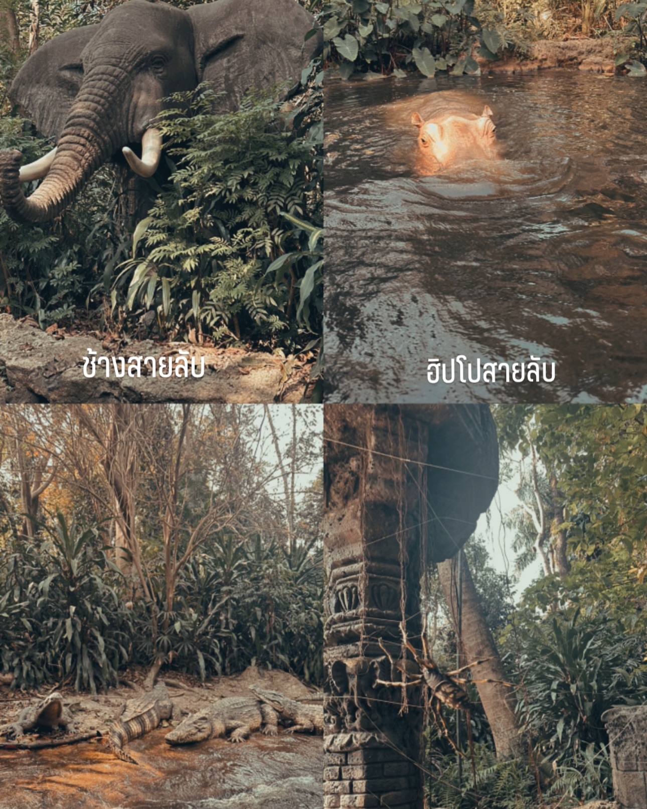 บอนซ์ - ณดล ล้ำประเสริฐ