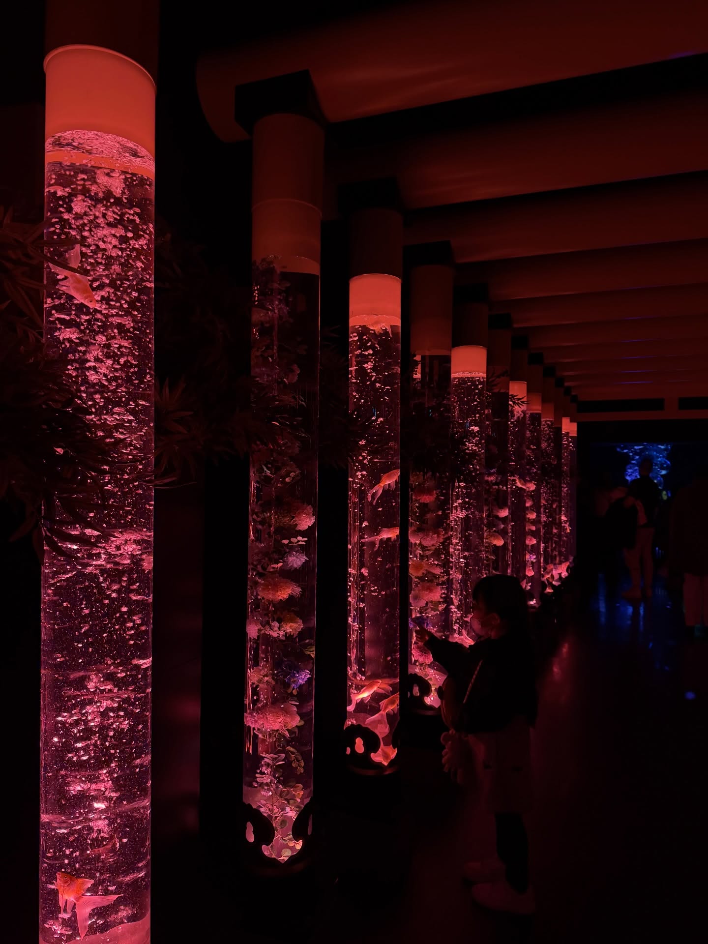 บอนซ์ - ณดล ล้ำประเสริฐ