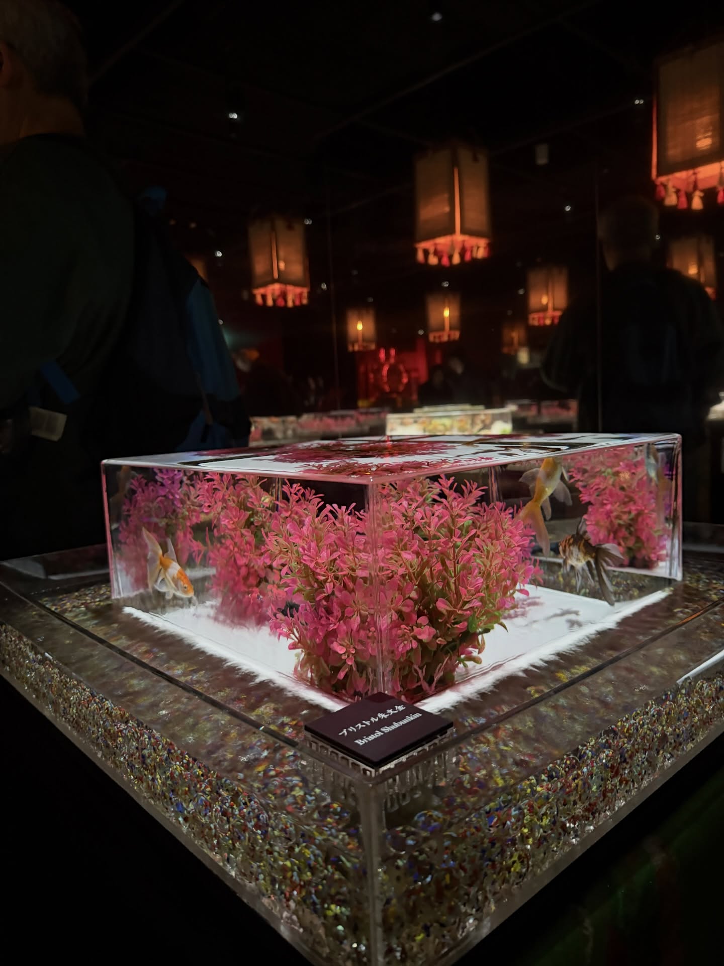 บอนซ์ - ณดล ล้ำประเสริฐ