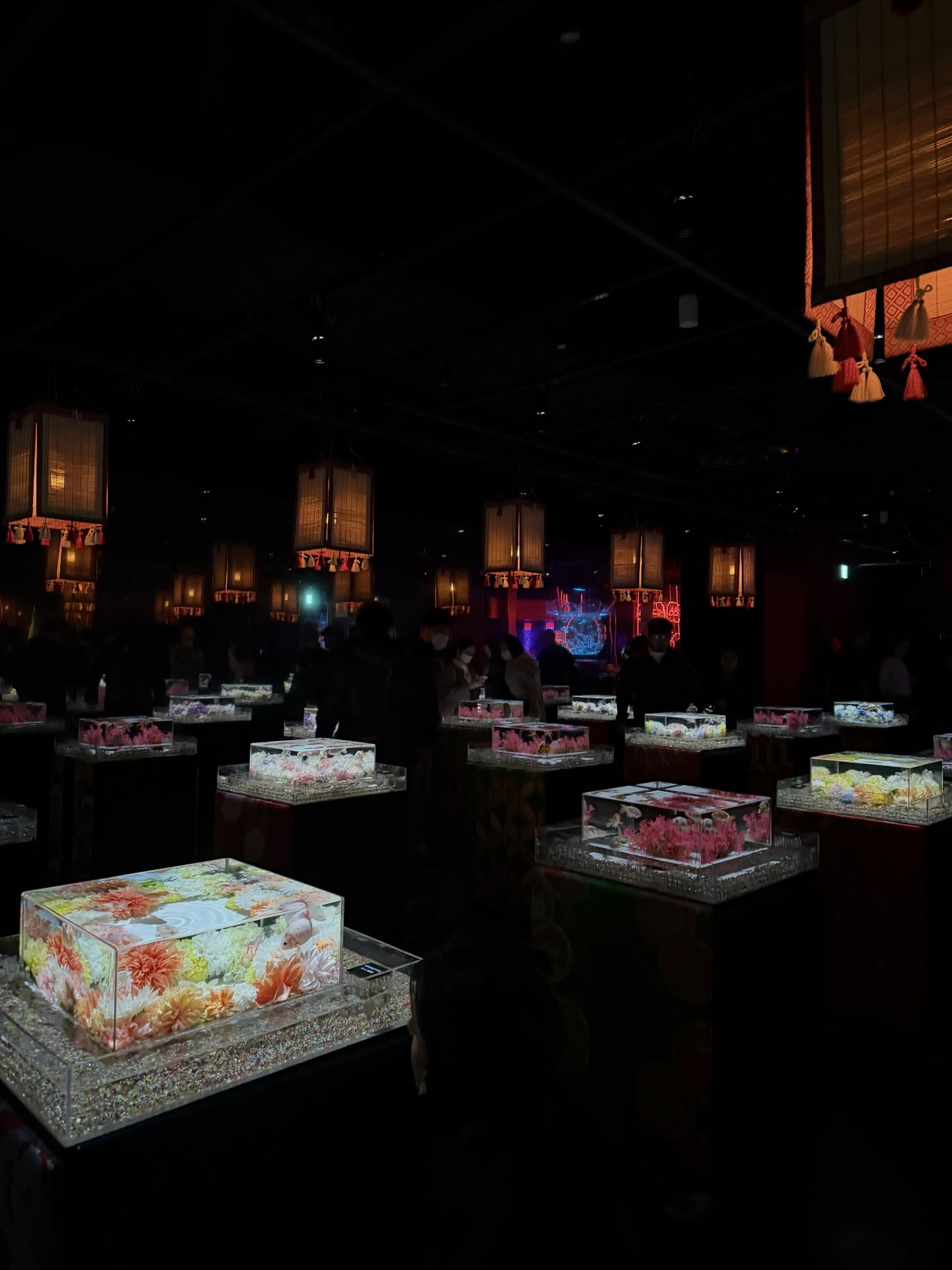 บอนซ์ - ณดล ล้ำประเสริฐ