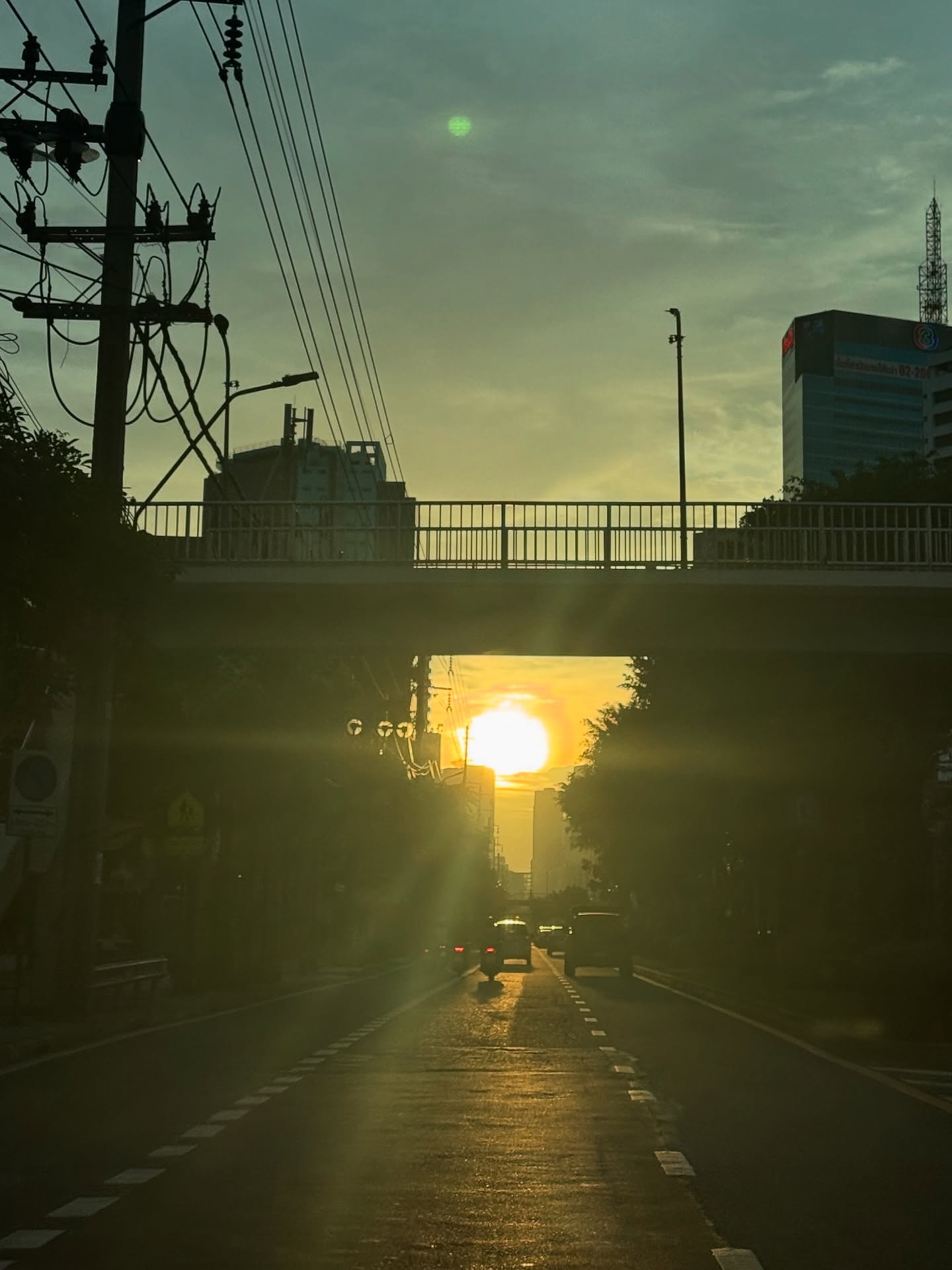 เมทัล สุขขาว