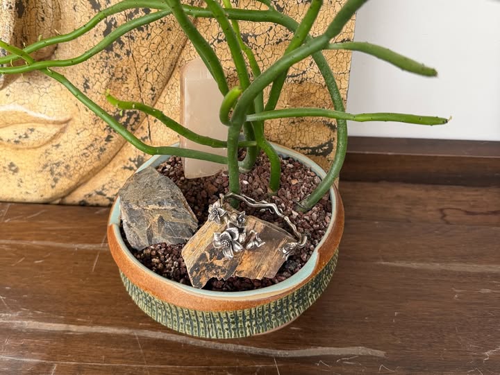 เมทัล สุขขาว