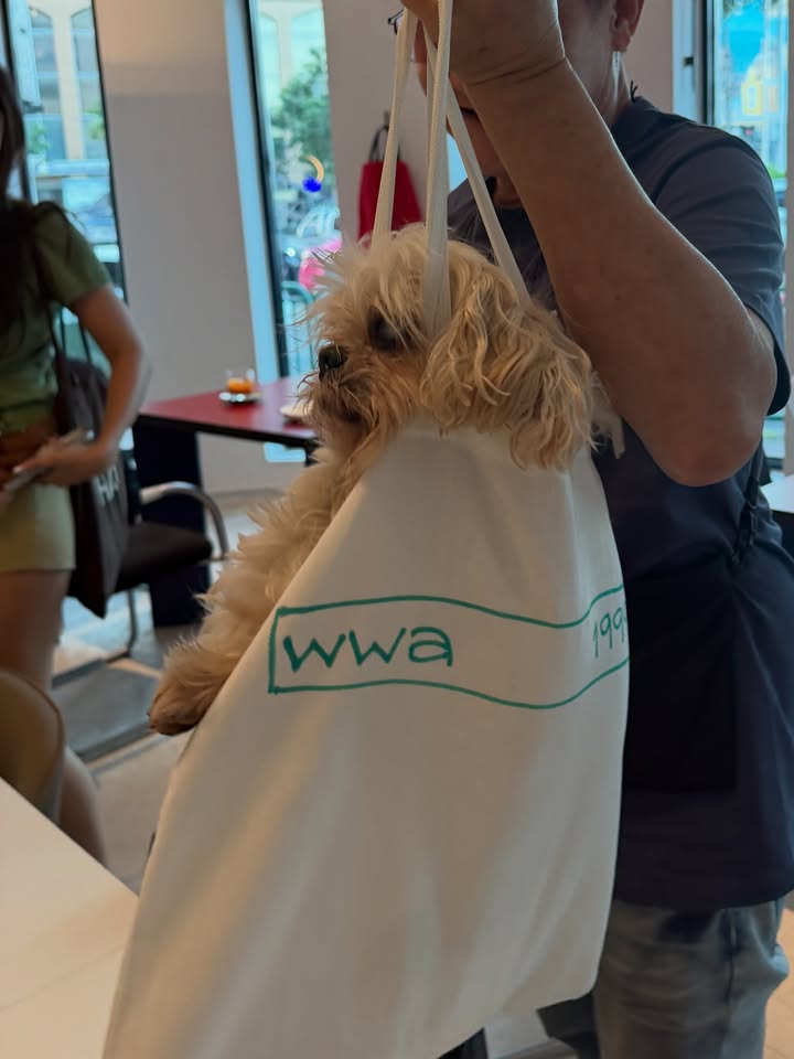 เมทัล สุขขาว