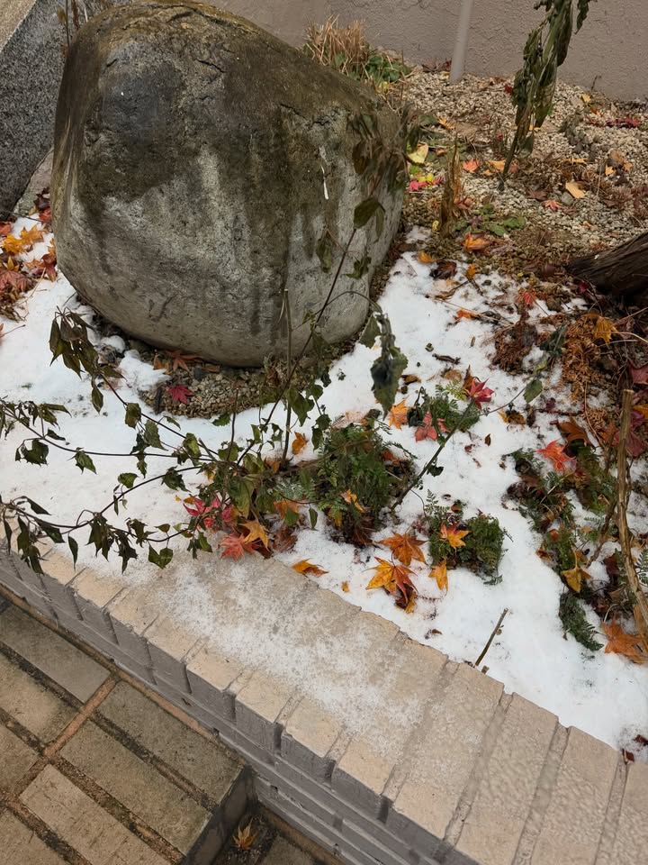 เมทัล สุขขาว