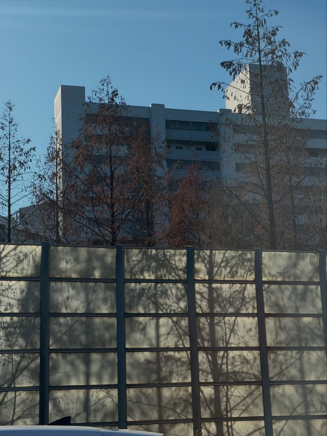 เมทัล สุขขาว