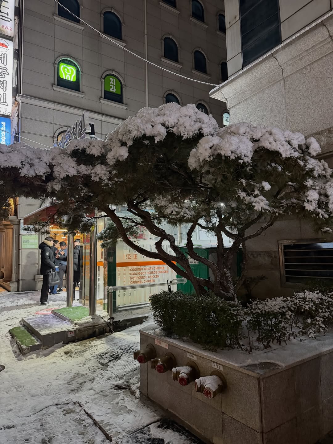 เมทัล สุขขาว