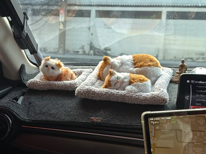 เมทัล สุขขาว