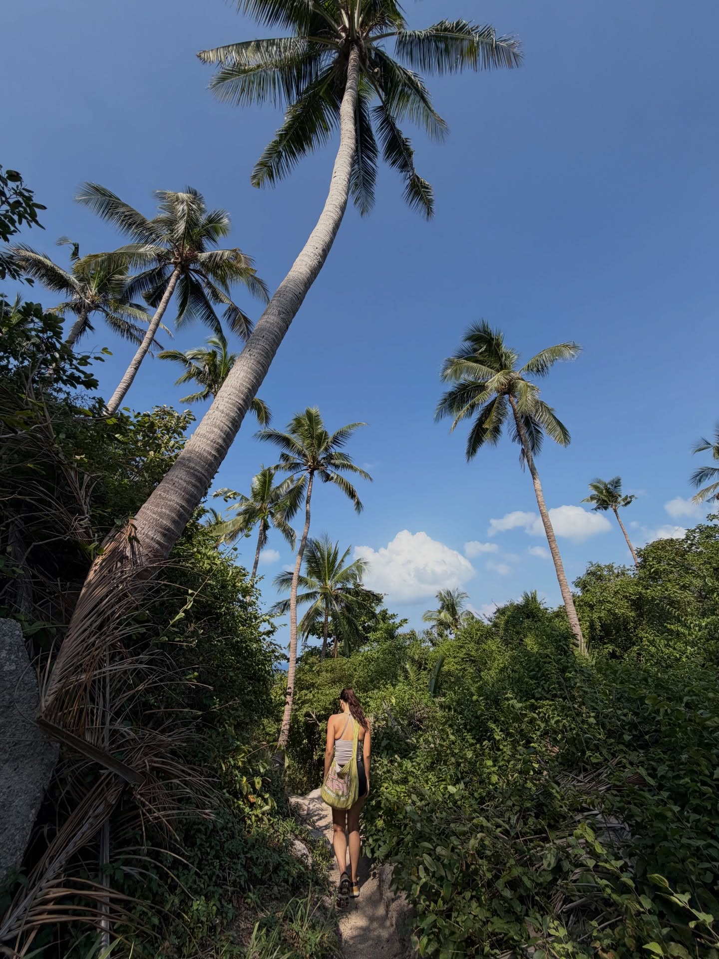 เมทัล สุขขาว