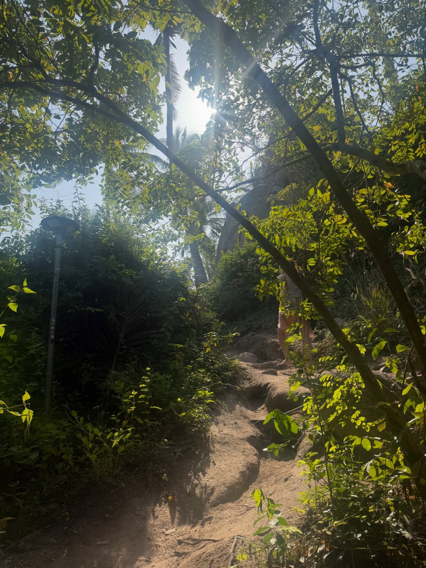 เมทัล สุขขาว