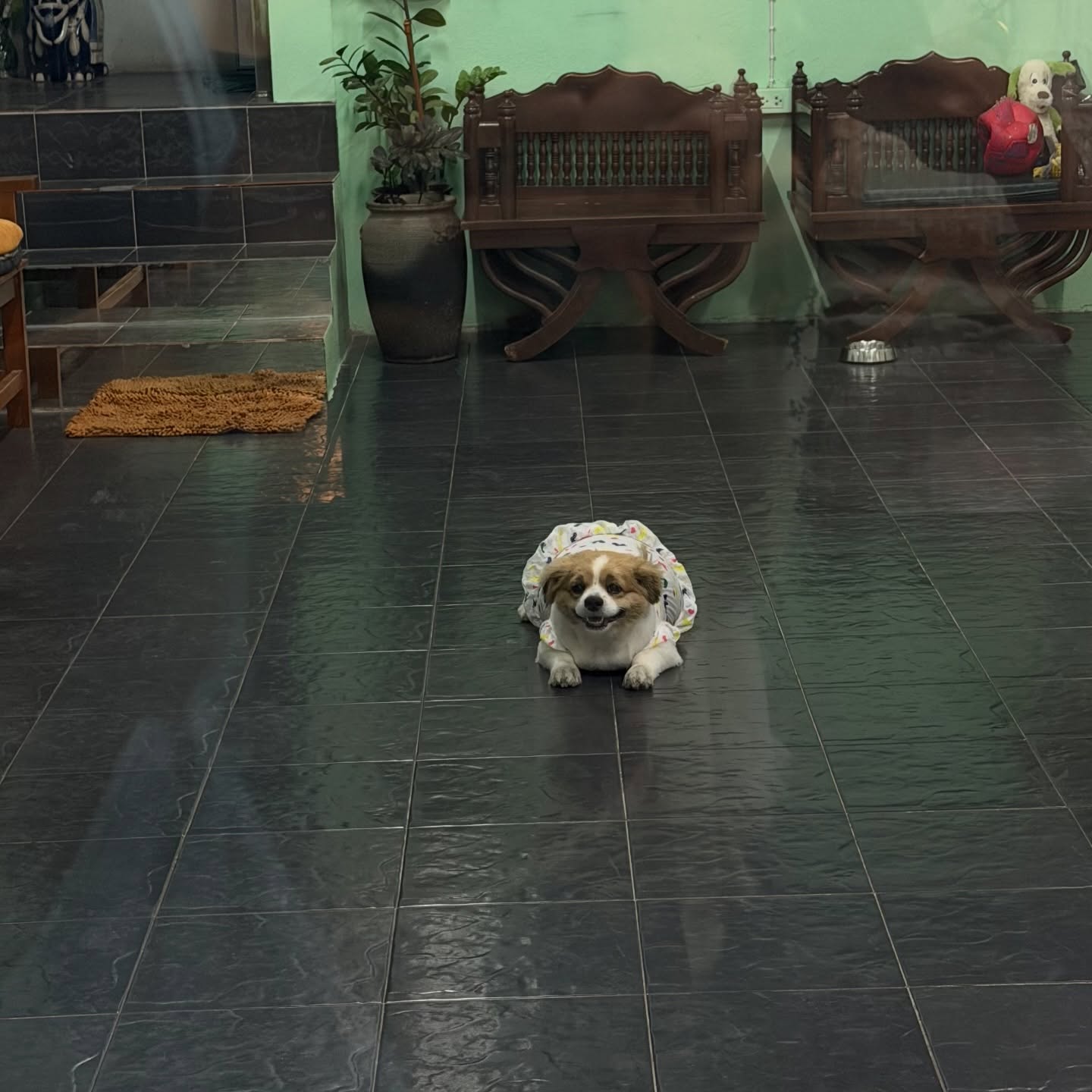 เมทัล สุขขาว