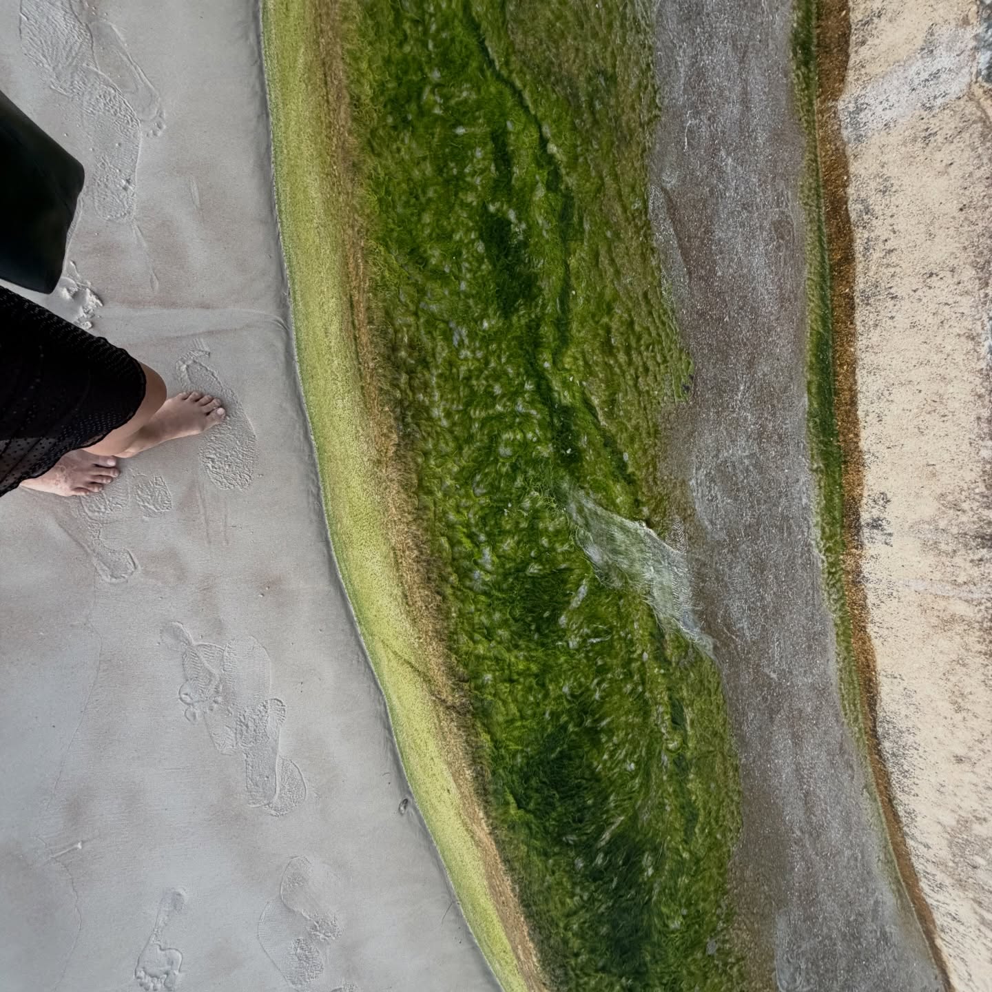 เมทัล สุขขาว