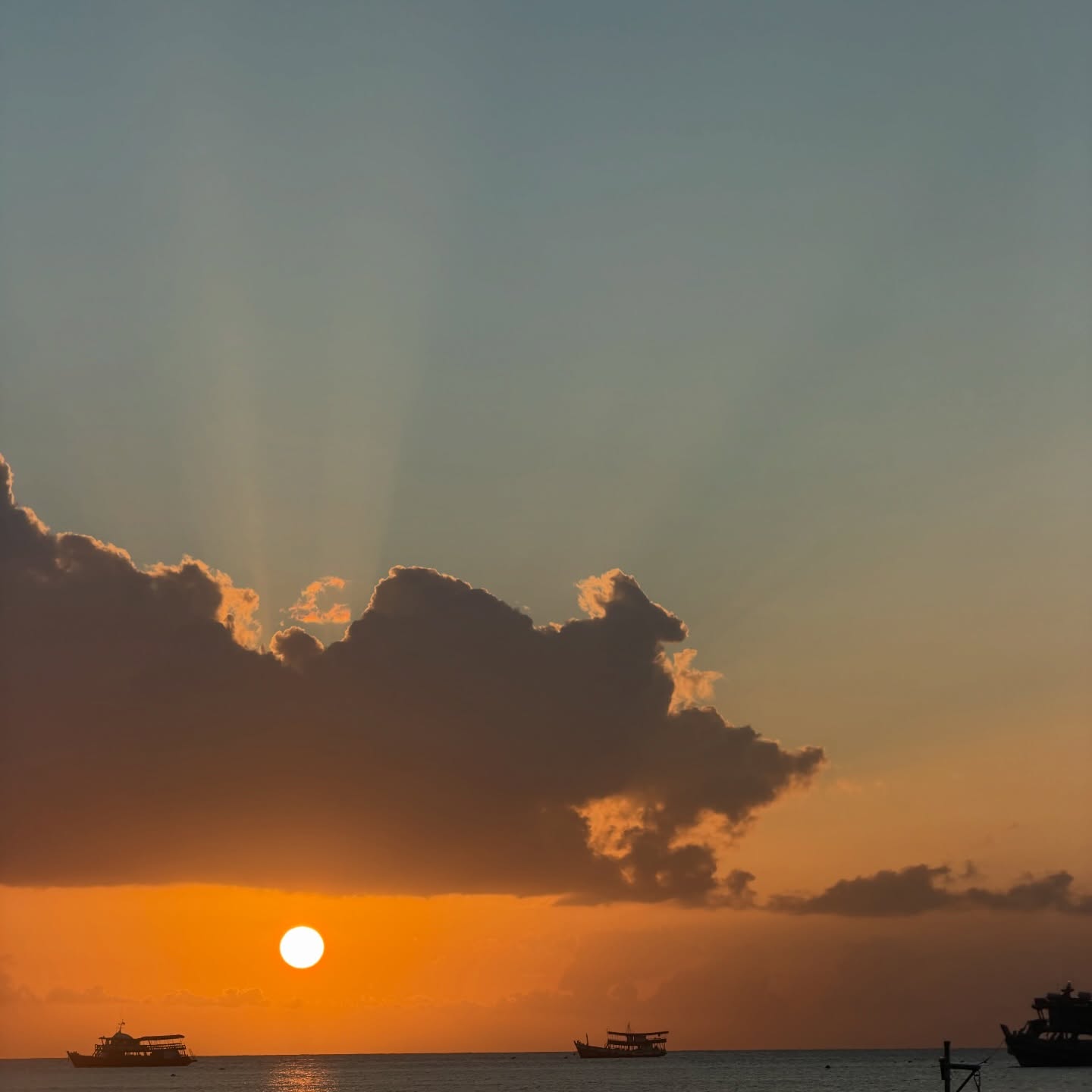 เมทัล สุขขาว