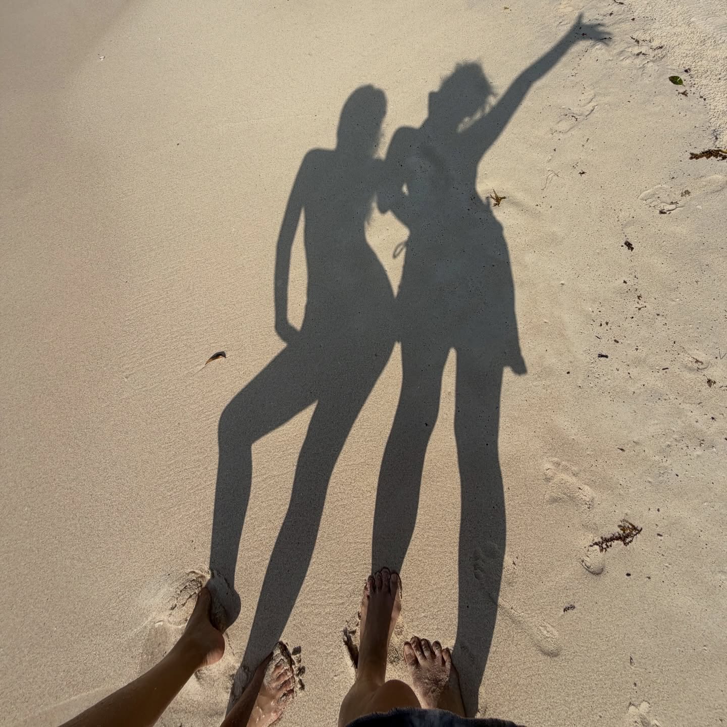 เมทัล สุขขาว