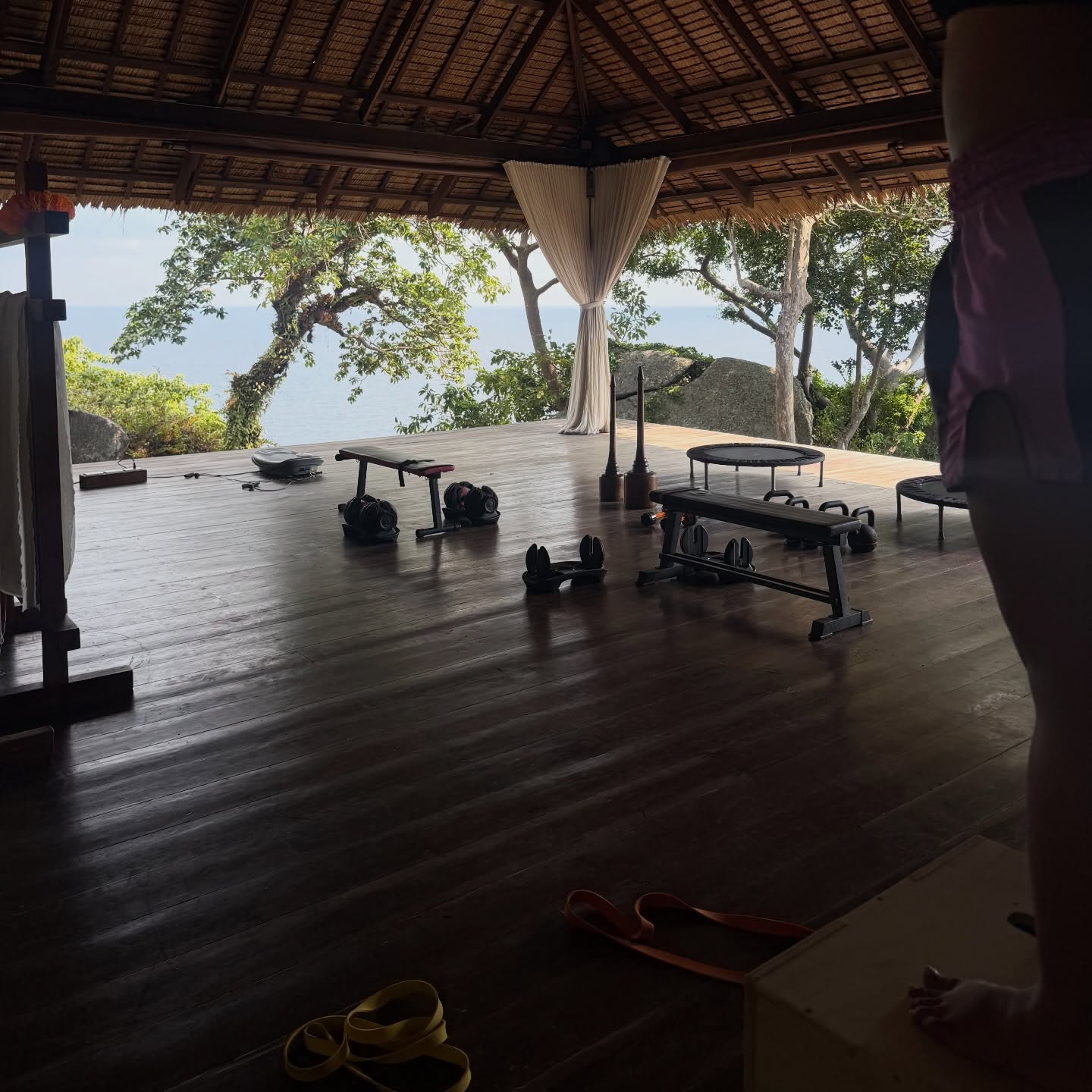 เมทัล สุขขาว