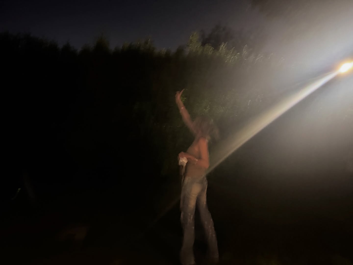 เมทัล สุขขาว