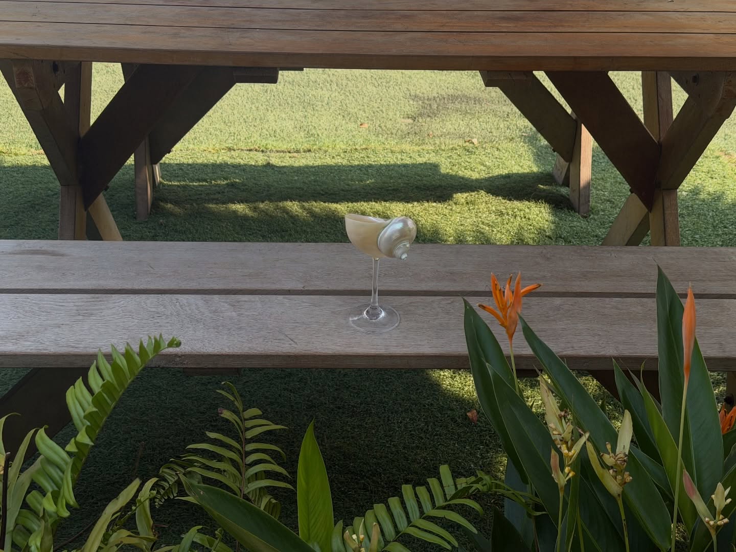 เมทัล สุขขาว