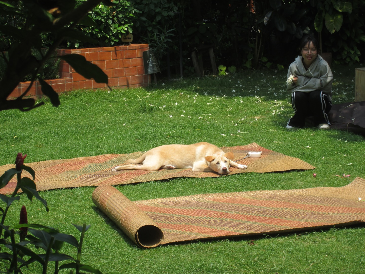 เมทัล สุขขาว