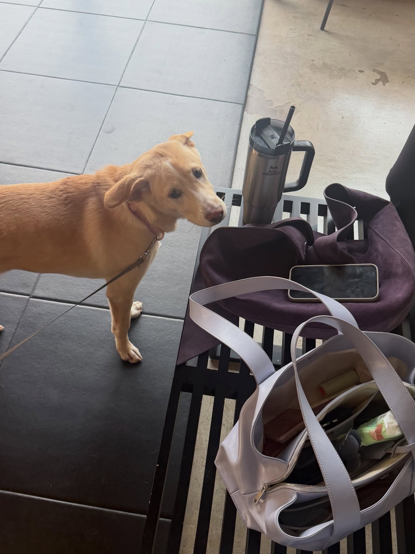 เมทัล สุขขาว