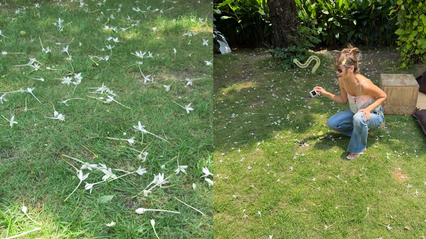 เมทัล สุขขาว