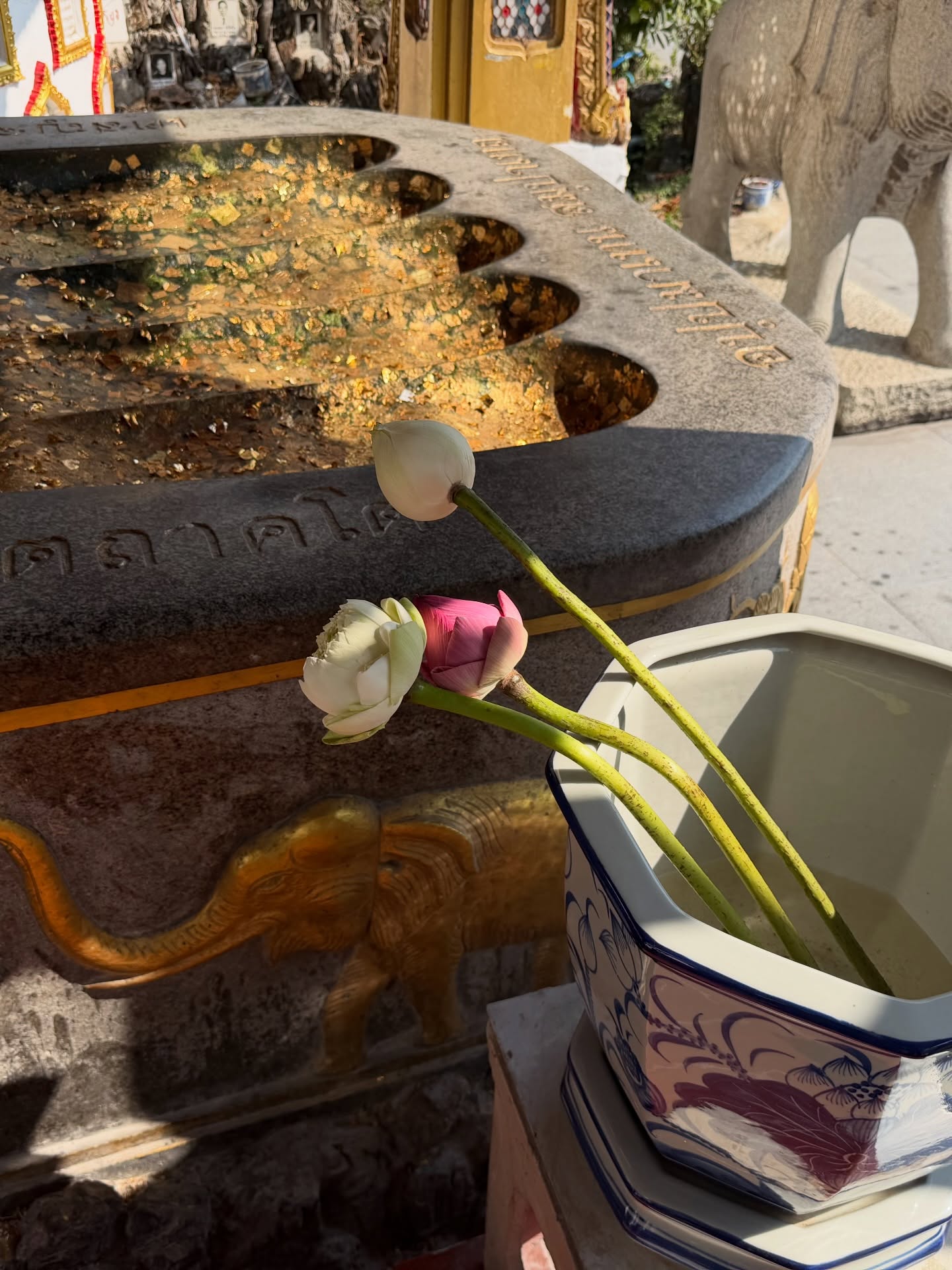 เมทัล สุขขาว