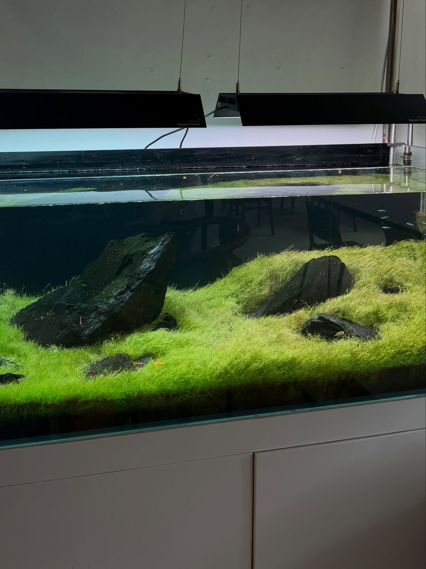 เมทัล สุขขาว