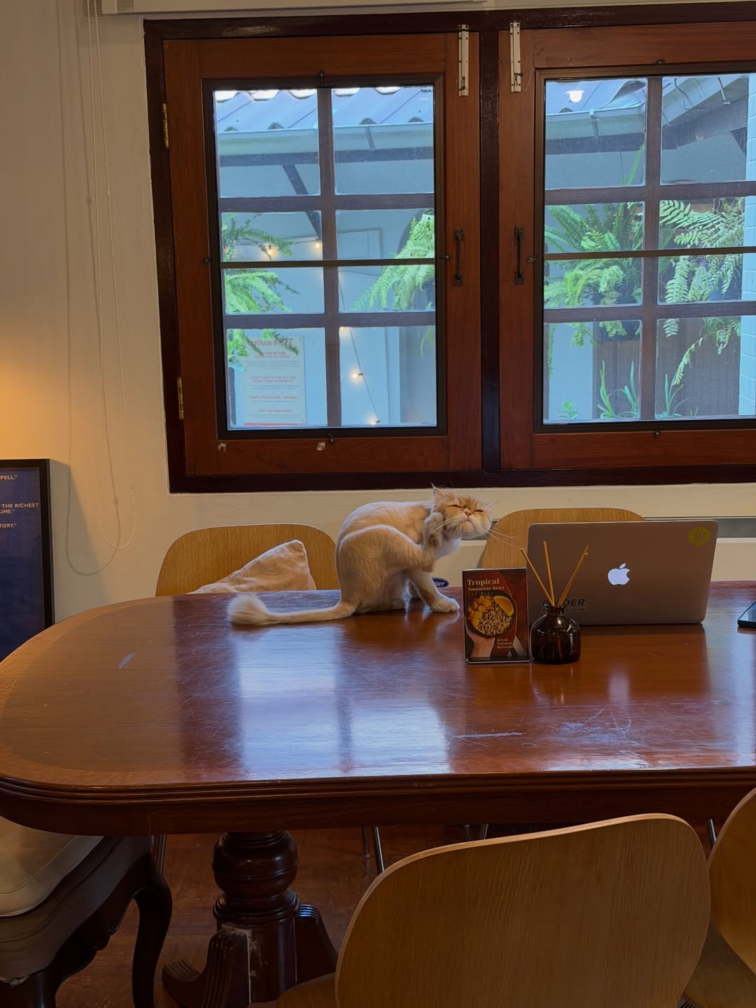 เมทัล สุขขาว