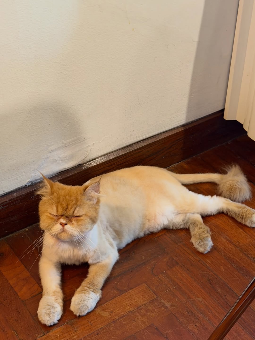 เมทัล สุขขาว