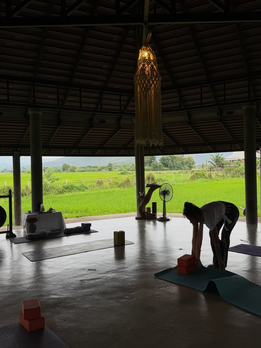เมทัล สุขขาว
