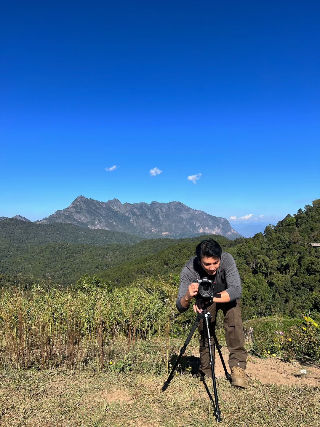 เมทัล สุขขาว