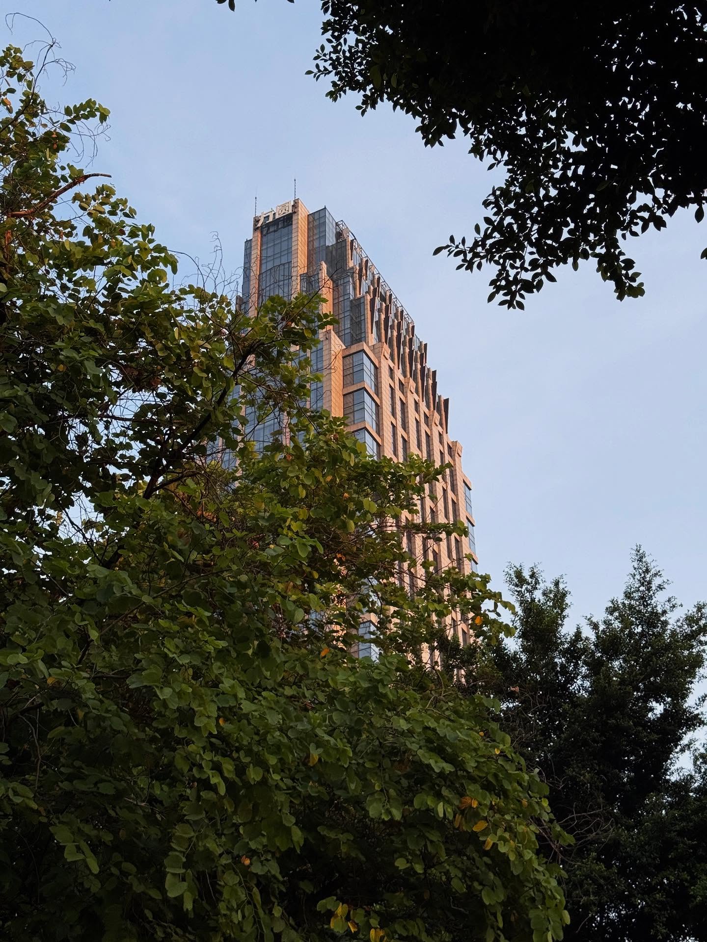 จินนี่ - ณัฐณิชา ประทีปนาฏศิริ