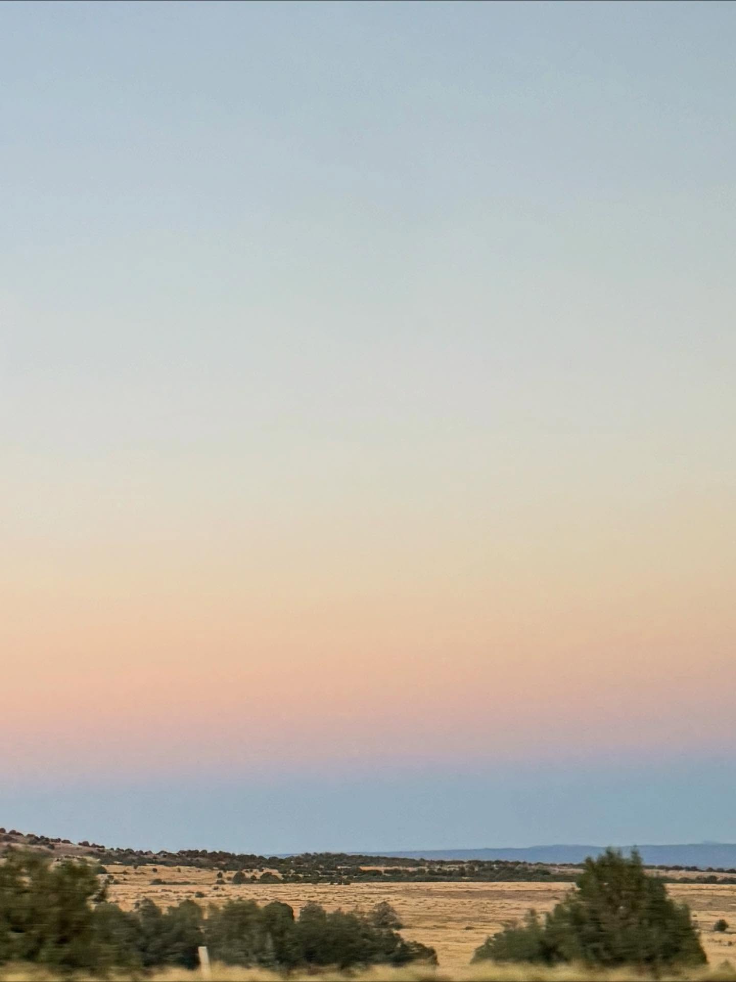 จินนี่ - ณัฐณิชา ประทีปนาฏศิริ